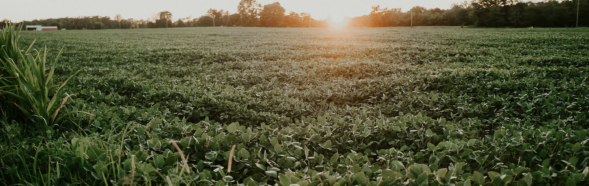 Acres Away AG Services Images