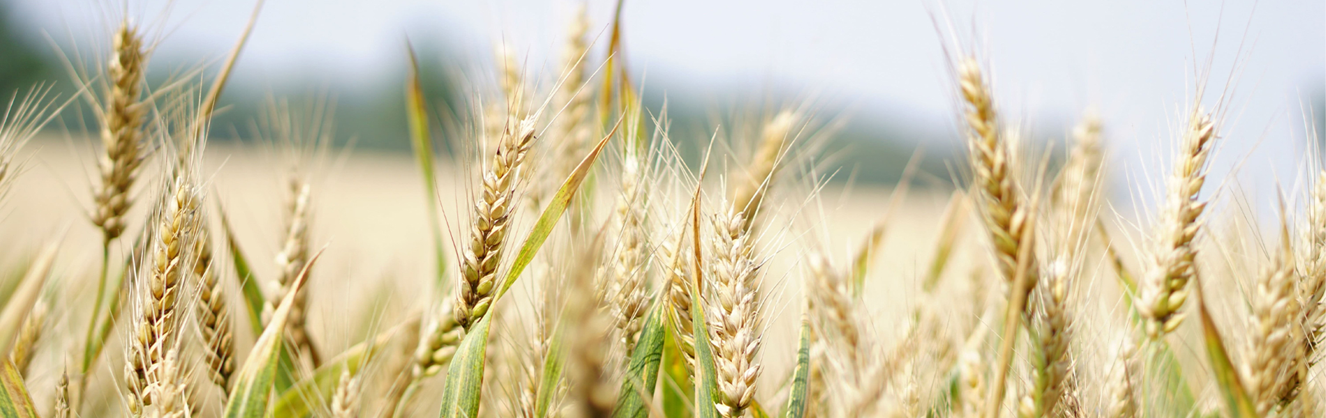 Acres Away AG Services Images